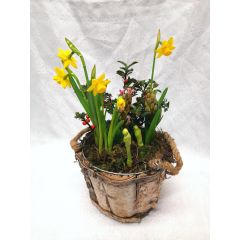 Little Spring